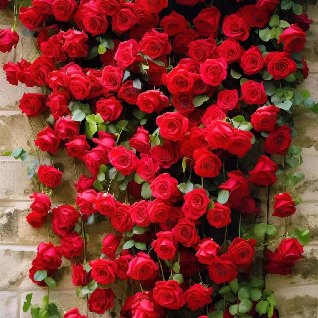 Rose Grimpante "Red Passion" – Lot de 100 Graines / lomé